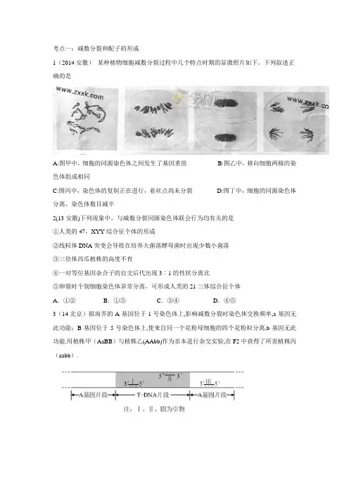 2015高考生物专用近5年高考真题及答案：遗传的细胞基础：减数分裂