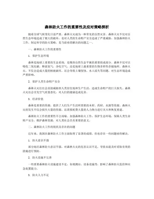 森林防火工作的重要性及应对策略探析