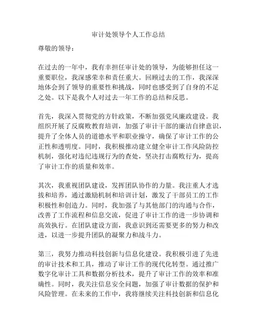 审计处领导个人工作总结