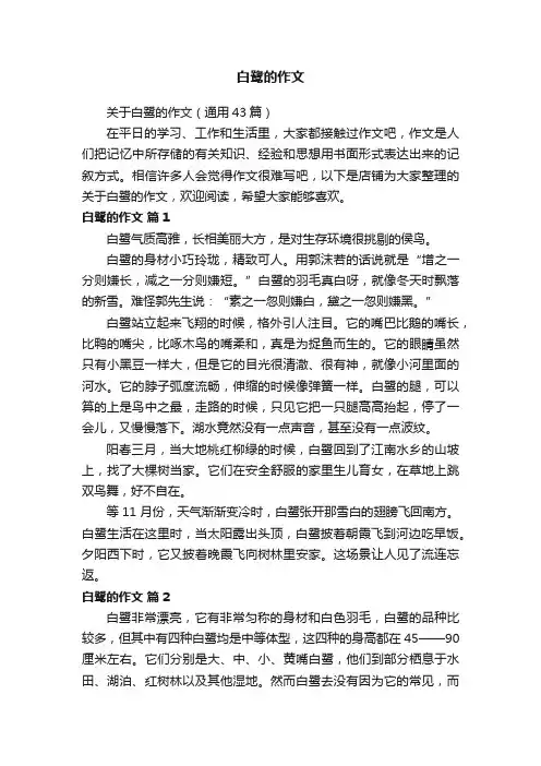 白鹭的作文