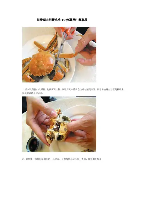 阳澄湖大闸蟹吃法10步骤