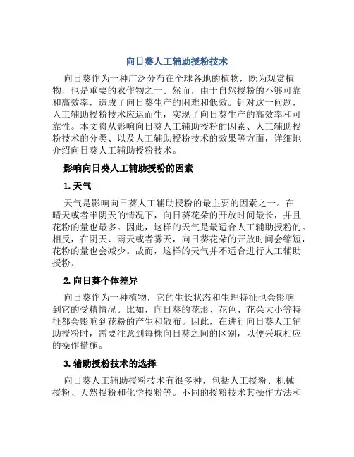向日葵人工辅助授粉技术