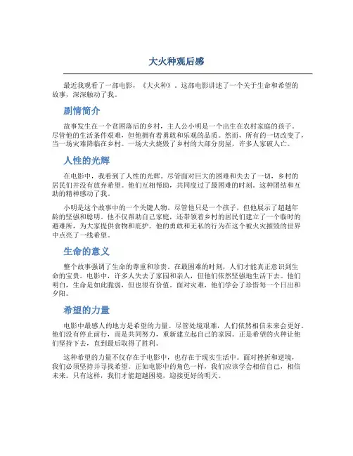 大火种观后感