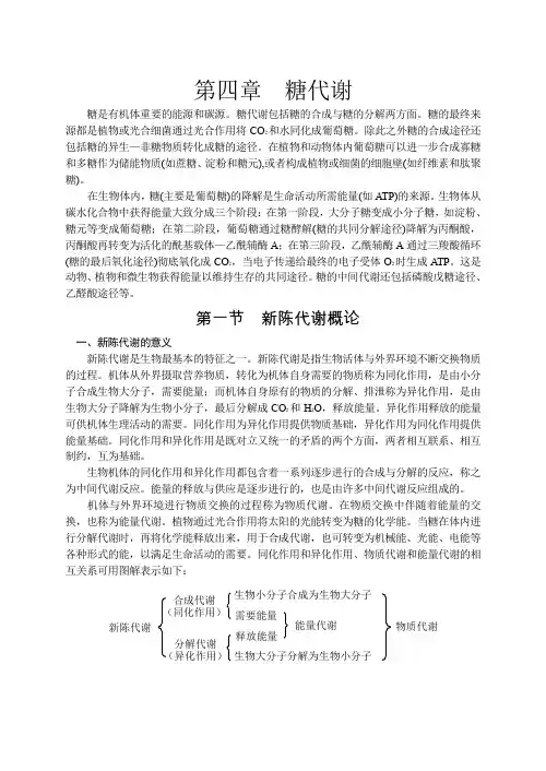 糖代谢