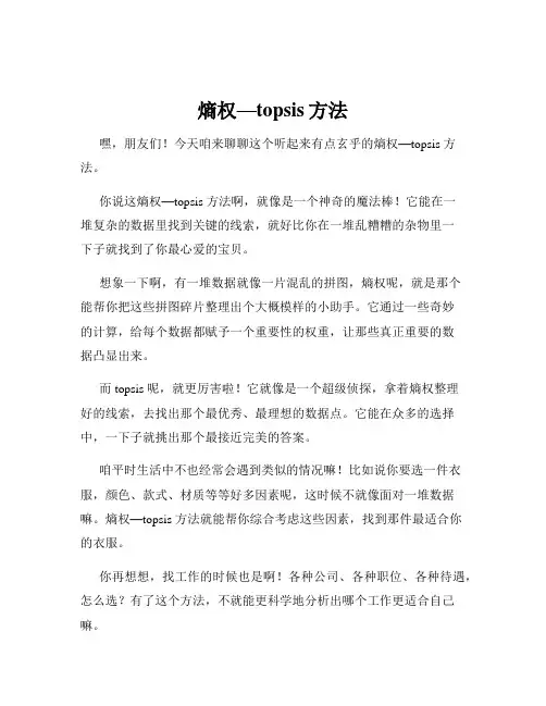 熵权—topsis方法