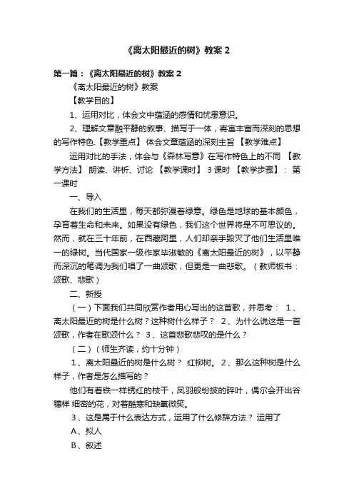 《离太阳最近的树》教案2