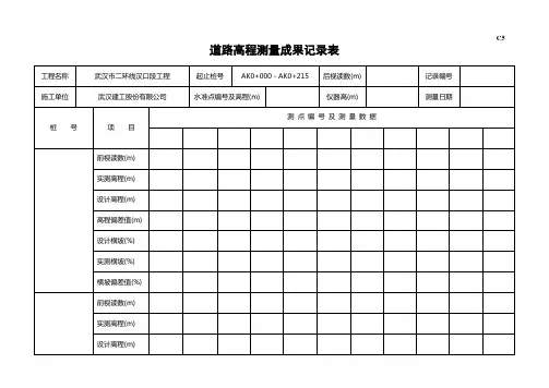 C5道路高程测量成果记录表