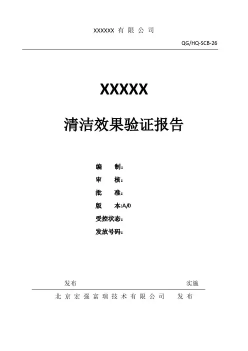 清洁效果验证报告
