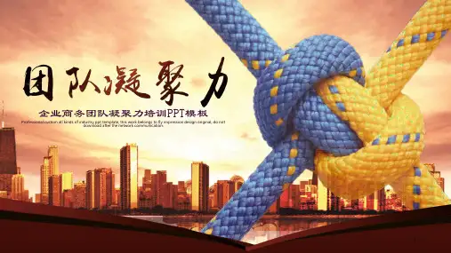 企业商务团队凝聚力培训模板PPT课件