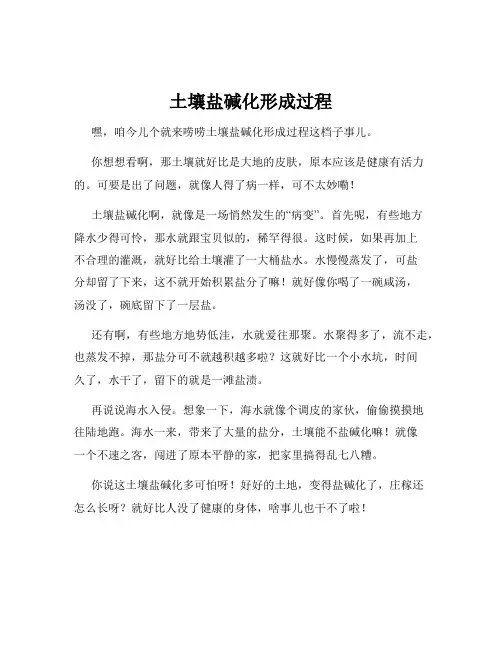 土壤盐碱化形成过程