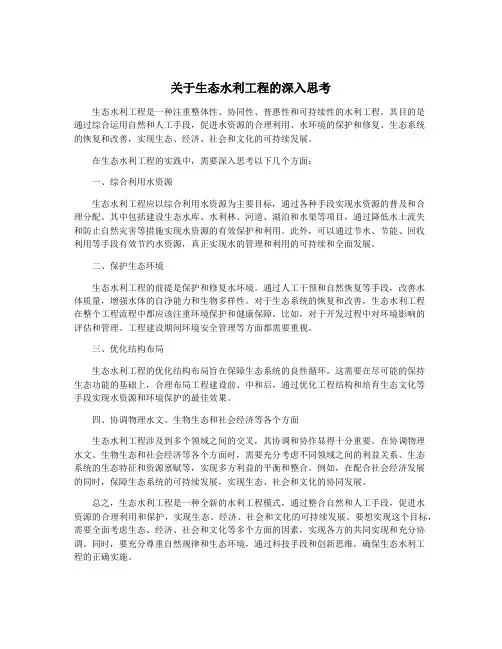 关于生态水利工程的深入思考
