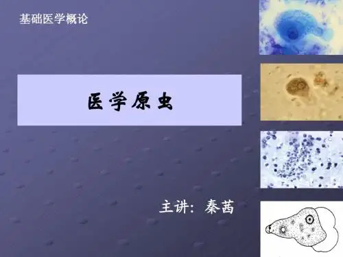医学原虫