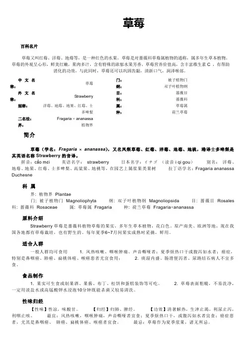 草莓