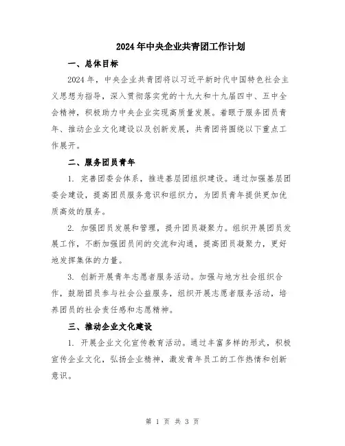 2024年中央企业共青团工作计划