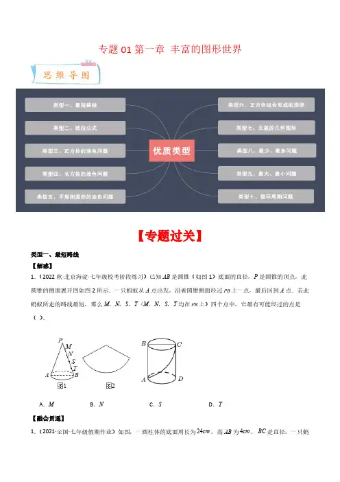 专题01第一章 丰富的图形世界(优质类型,10大类型)(原卷版)