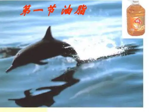 化学:《油脂》课件新人教版上课用