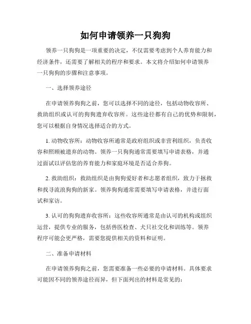 如何申请领养一只狗狗