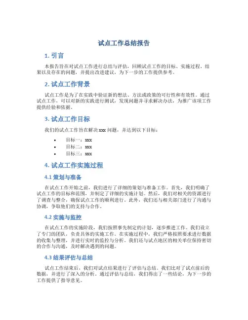 试点工作总结报告