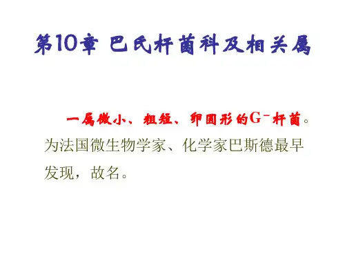 多杀性巴氏杆菌 