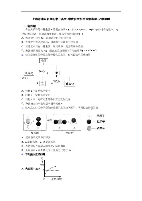 上海市浦东新区初中升高中-学校自主招生选拔考试-化学试题