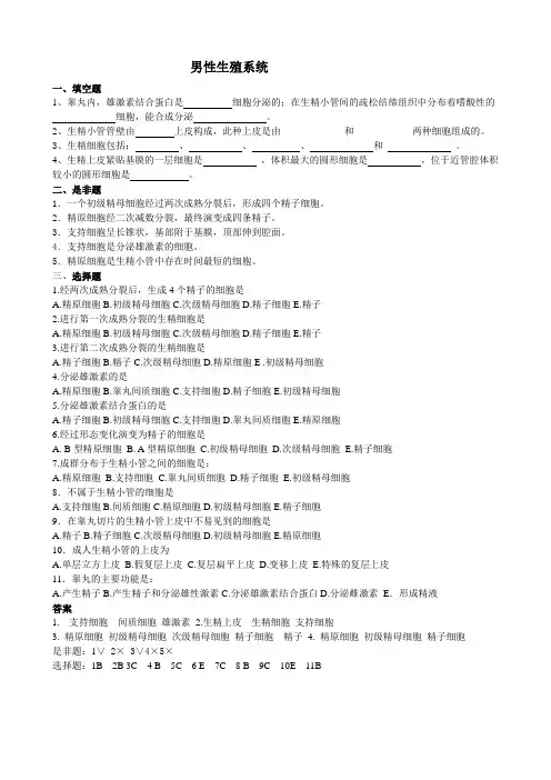 男性生殖系统练习题含答案