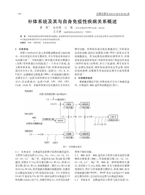 补体系统及其与自身免疫性疾病关系概述