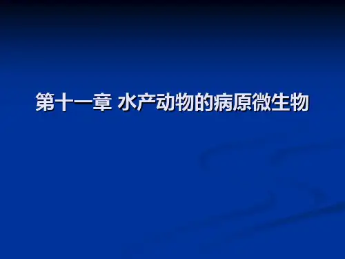 第十一章水产动物