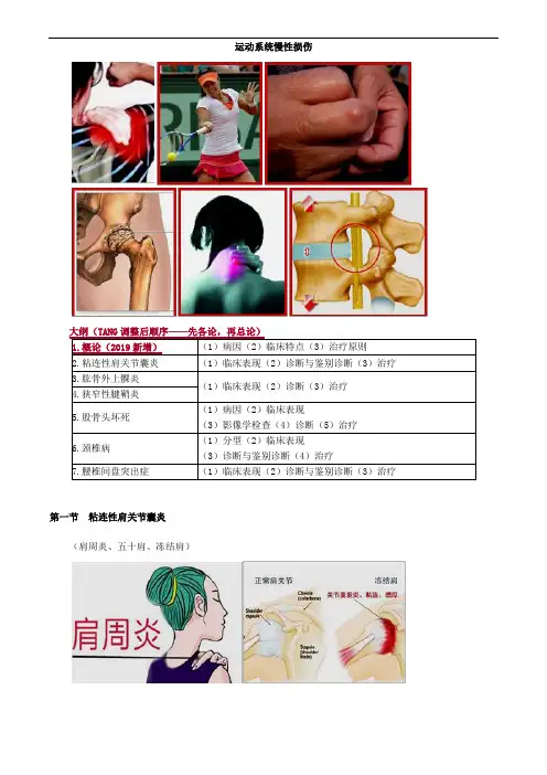 运动系统慢性损伤