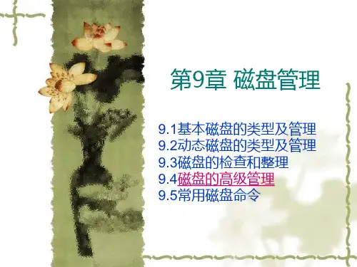 磁盘管理