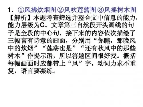 《乡村的风》答案详解