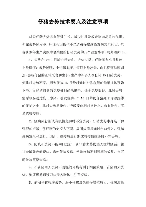 仔猪去势技术要点及注意事项