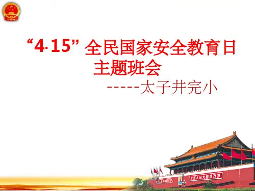 小学全民国家安全教育日ppt