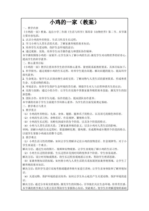 小鸡的一家(教案)