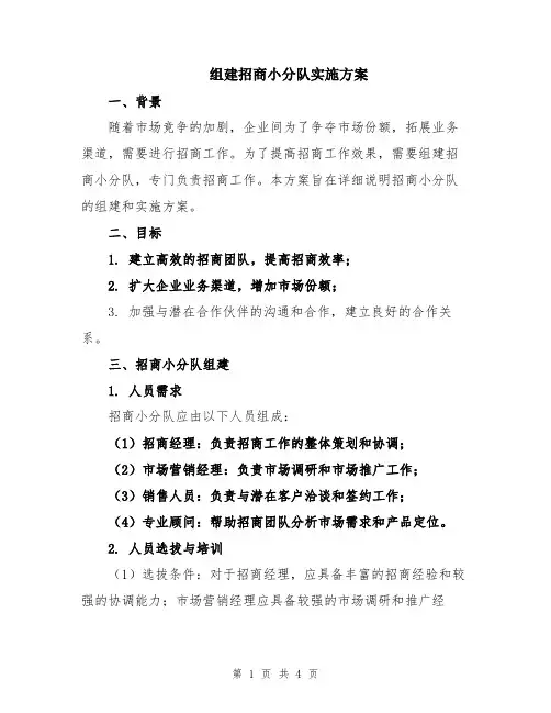 组建招商小分队实施方案