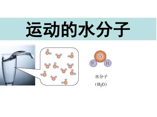 水分子的运动 课件
