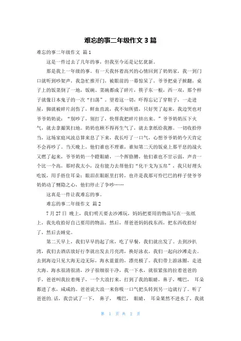 难忘的事二年级作文3篇