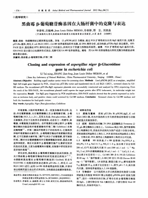 黑曲霉β-葡萄糖苷酶基因在大肠杆菌中的克隆与表达