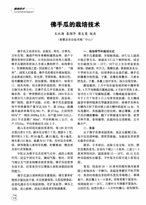 佛手瓜的栽培技术