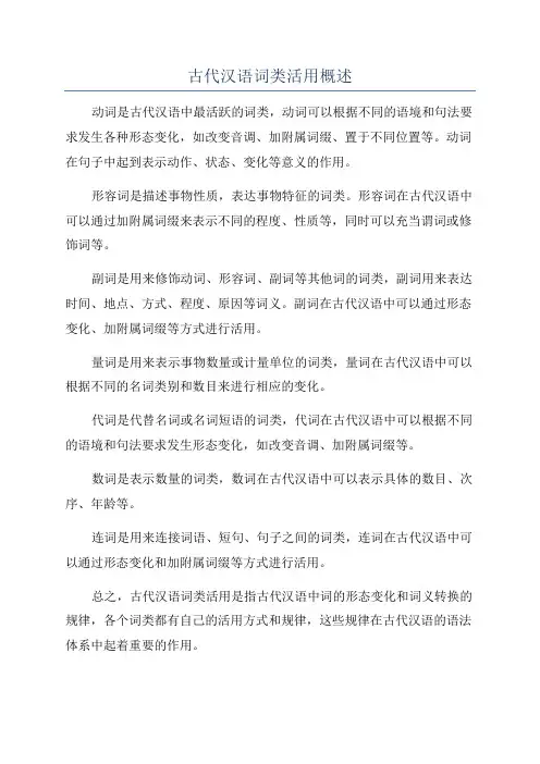 古代汉语词类活用概述