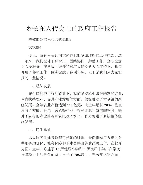 乡长在人代会上的政府工作报告