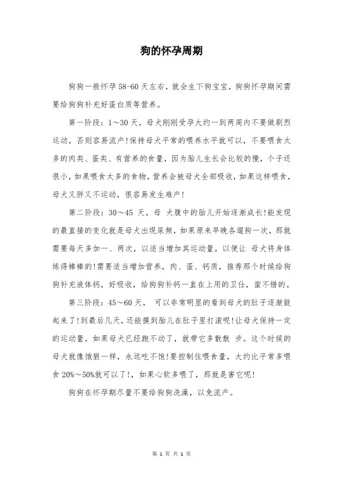 狗的怀孕周期