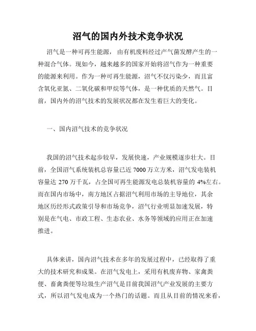 沼气的国内外技术竞争状况