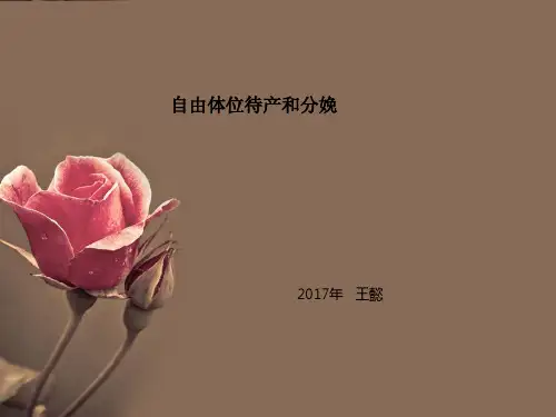 (仅供参考)自由体位待产和分娩
