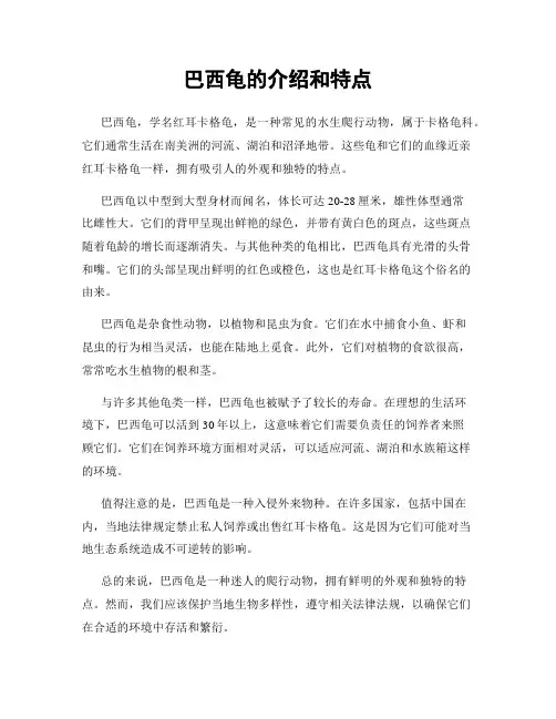巴西龟的介绍和特点