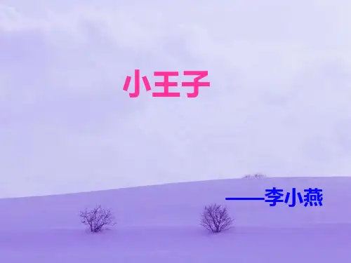 《小王子》英文介绍-reportPPT课件