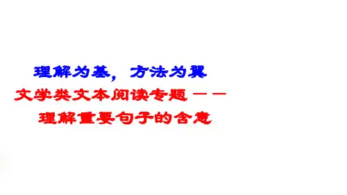 高考语文复习课件：理解句子含意(共16张PPT)