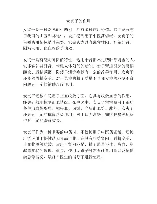 女贞子的作用