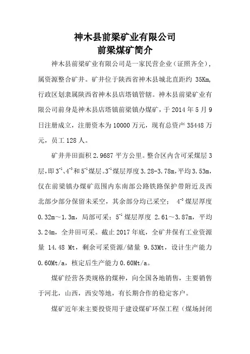 煤矿简介