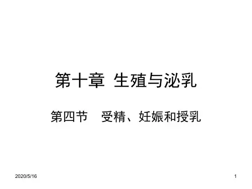 第四节受精妊娠与授乳[整理版]