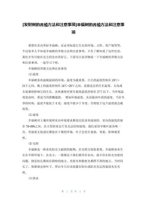 [发财树的养殖方法和注意事项]幸福树的养殖方法和注意事项